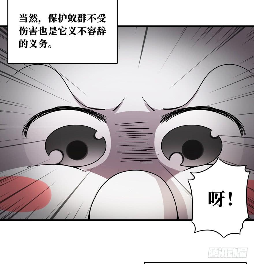 《YOYO的奇葩动物帝国》欢乐马戏人 第35页