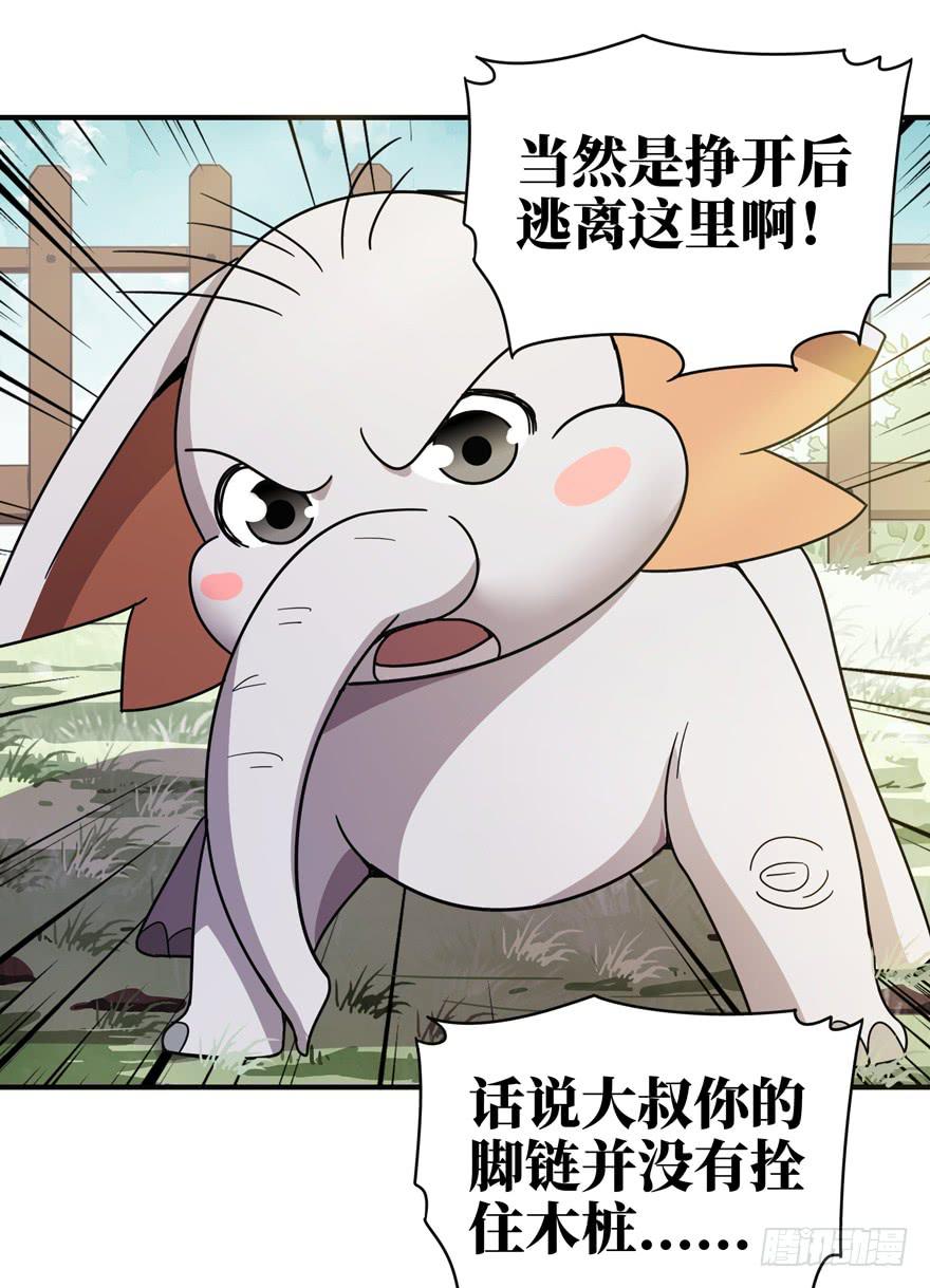 《YOYO的奇葩动物帝国》钩子与锁链（下） 第40页