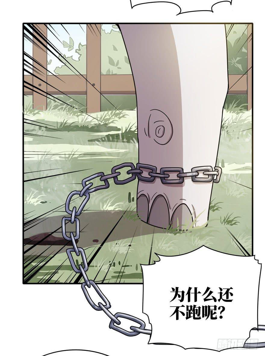 《YOYO的奇葩动物帝国》钩子与锁链（下） 第41页