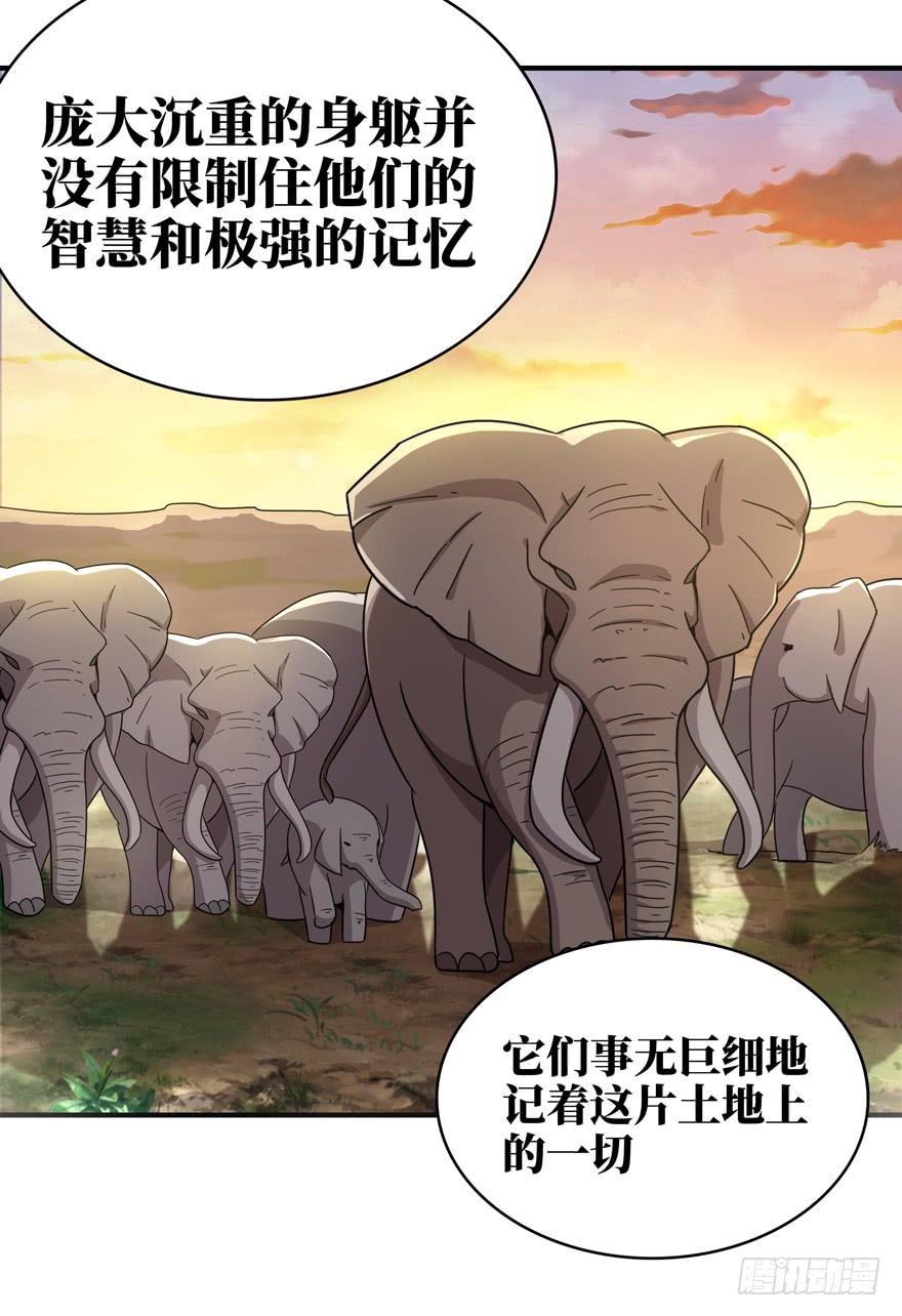 《YOYO的奇葩动物帝国》钩子与锁链（下） 第5页