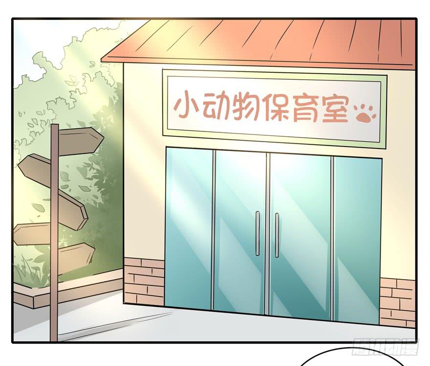 《YOYO的奇葩动物帝国》梁非凡！ 第37页