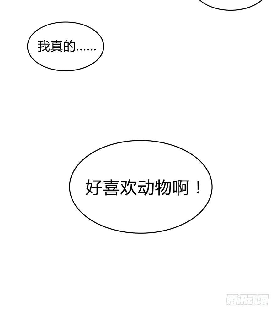 《YOYO的奇葩动物帝国》双冠军是选秀节目的基本规则 第31页