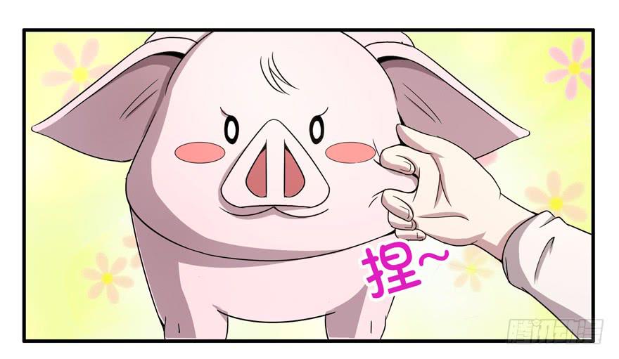 《YOYO的奇葩动物帝国》猪精与戏精 第28页