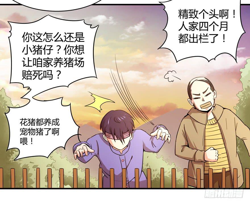 《YOYO的奇葩动物帝国》猪精与戏精 第6页