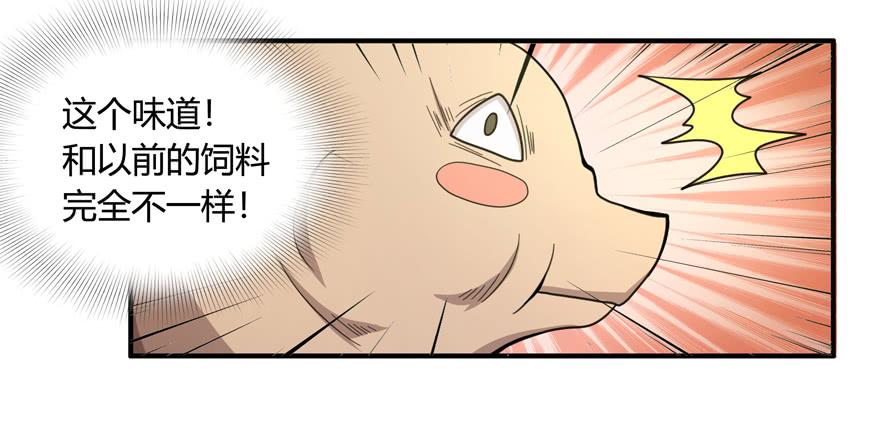 《YOYO的奇葩动物帝国》长沙保卫战（上） 第17页