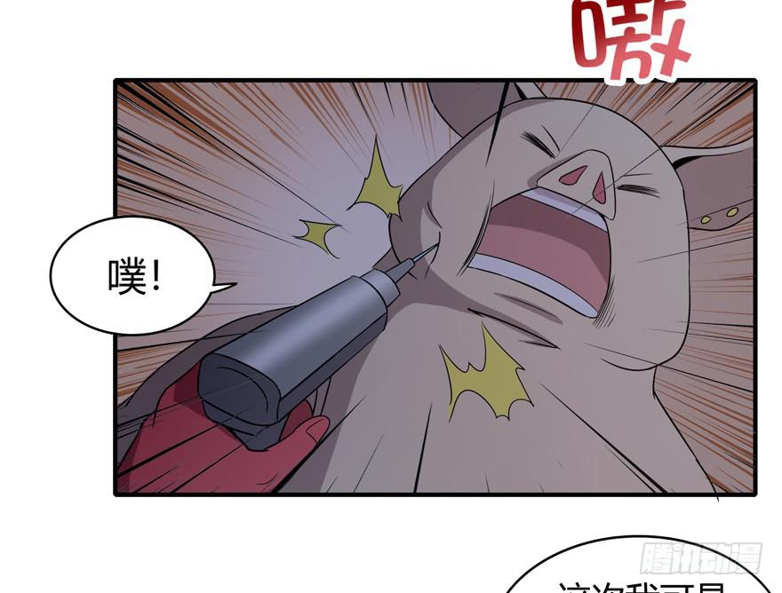 《YOYO的奇葩动物帝国》长沙保卫战（上） 第36页