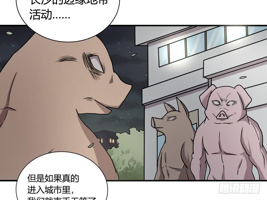 《YOYO的奇葩动物帝国》长沙保卫战（上） 第5页