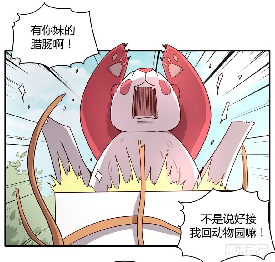 《YOYO的奇葩动物帝国》掉色 第27页