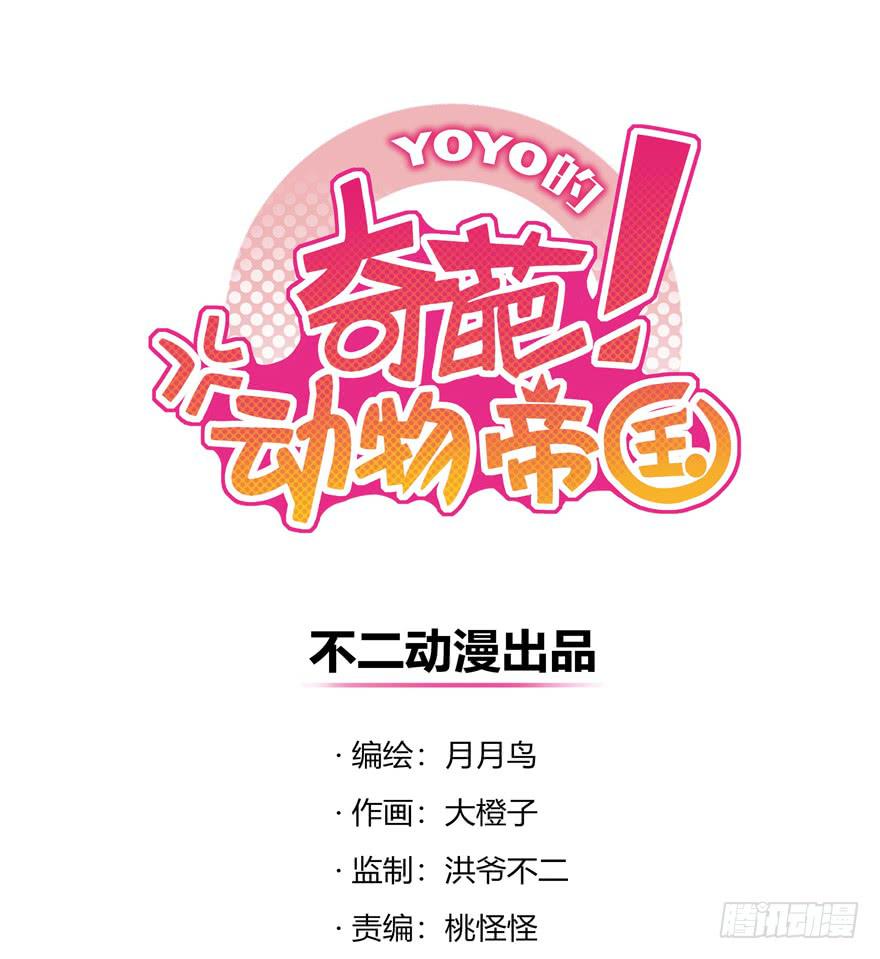 《YOYO的奇葩动物帝国》绝对领域是绝对不能看的领域 第1页