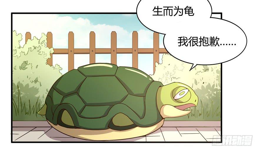 《YOYO的奇葩动物帝国》绝对领域是绝对不能看的领域 第30页