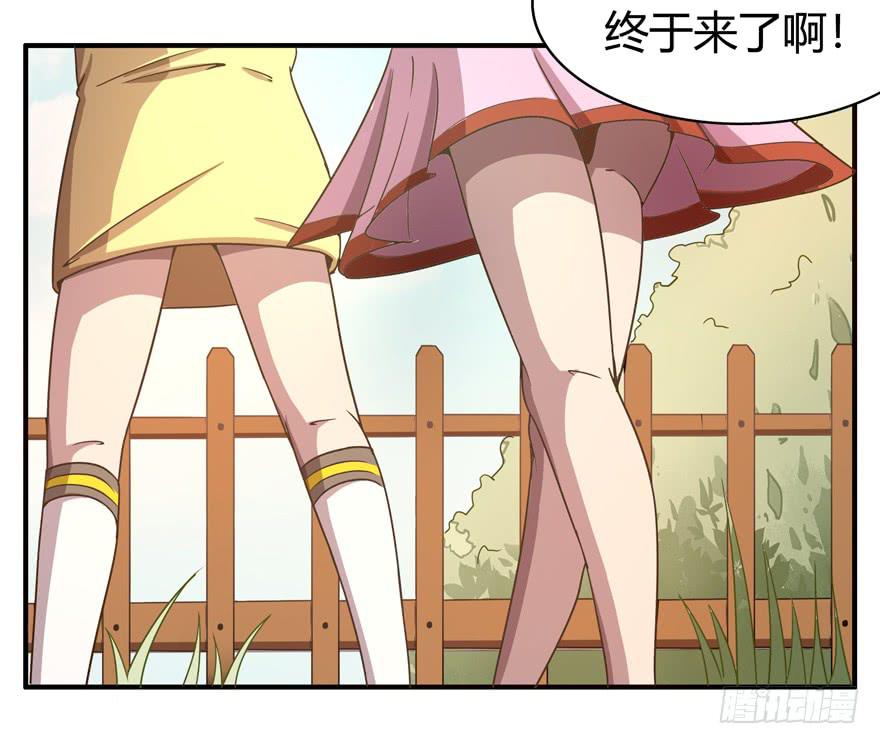 《YOYO的奇葩动物帝国》绝对领域是绝对不能看的领域 第5页