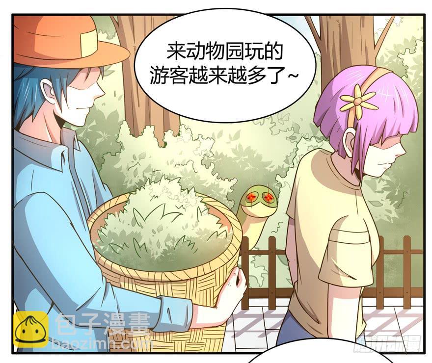 《YOYO的奇葩动物帝国》绝对领域是绝对不能看的领域 第6页