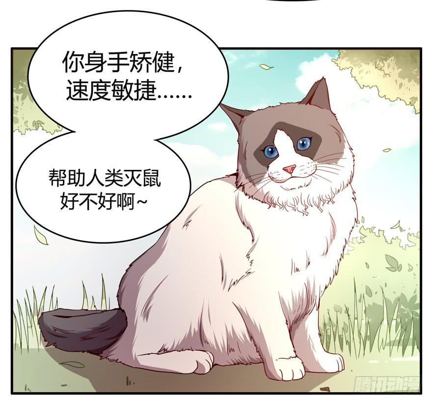 《YOYO的奇葩动物帝国》鱼锅风波 第10页