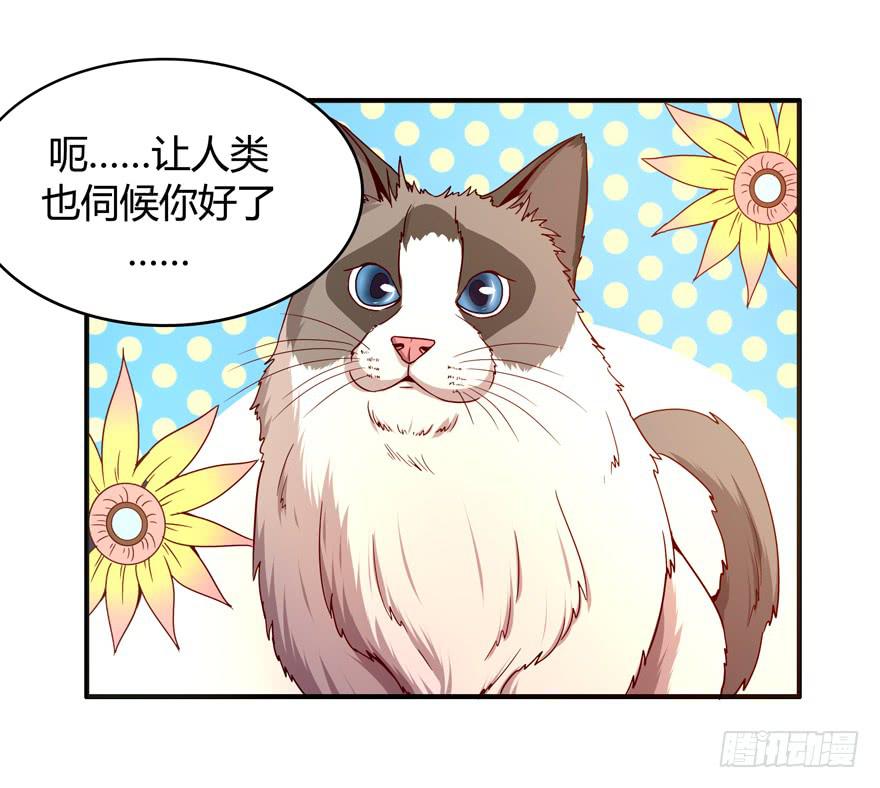 《YOYO的奇葩动物帝国》鱼锅风波 第11页