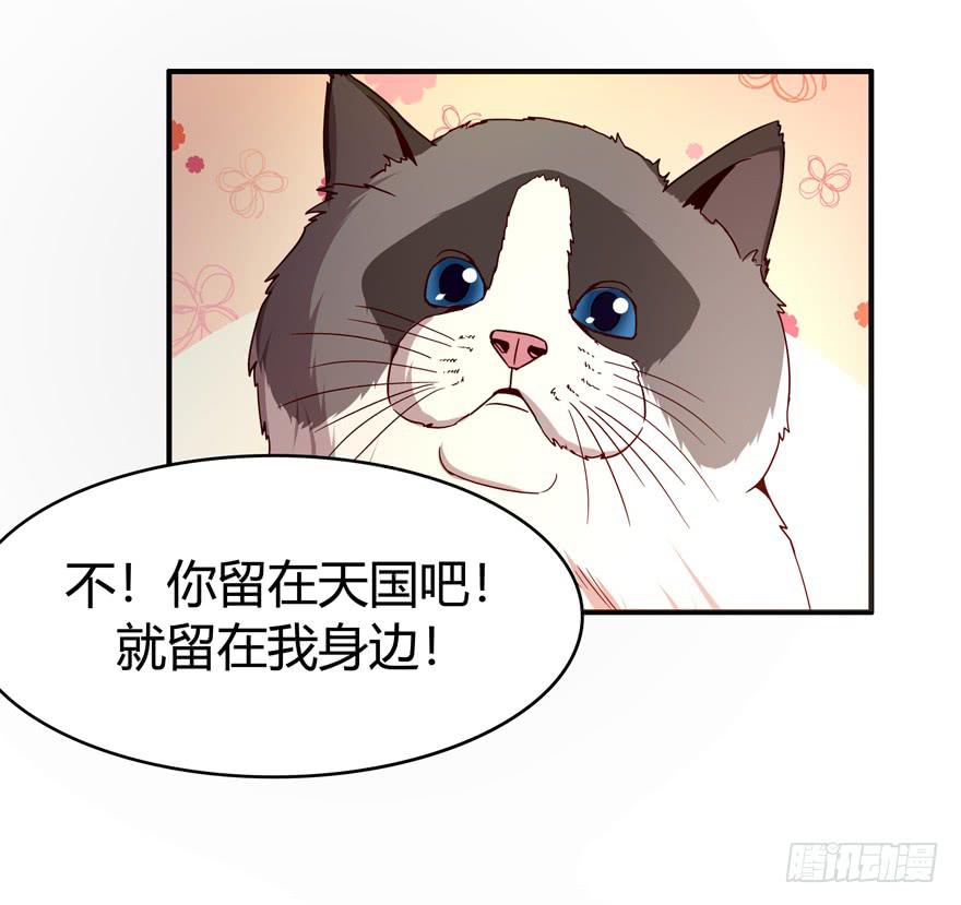 《YOYO的奇葩动物帝国》鱼锅风波 第12页