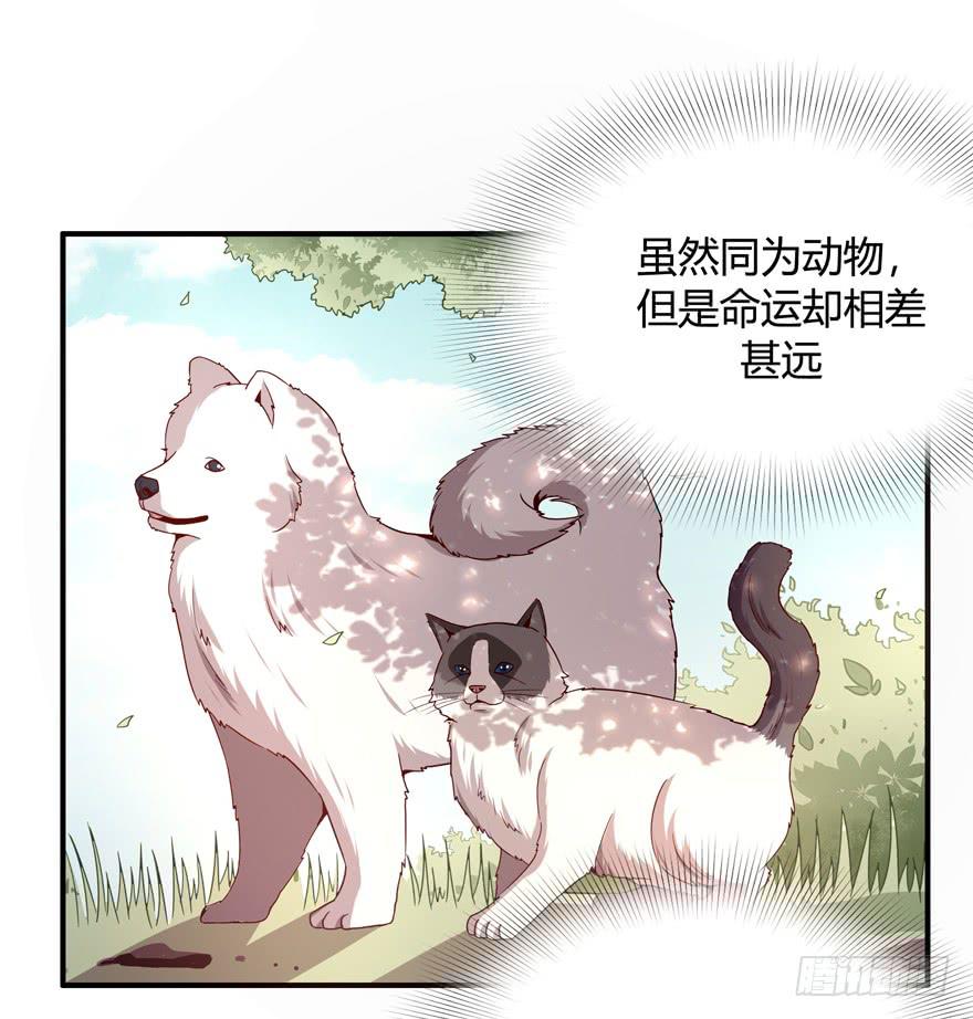 《YOYO的奇葩动物帝国》鱼锅风波 第13页