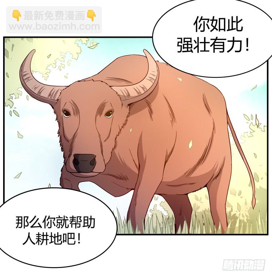 《YOYO的奇葩动物帝国》鱼锅风波 第5页