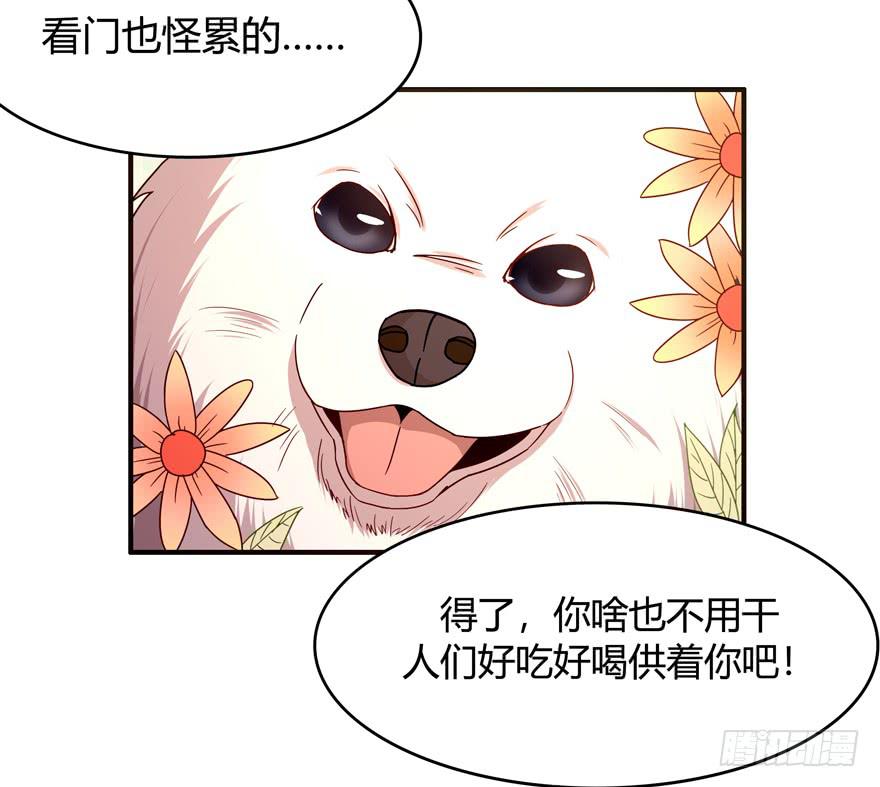《YOYO的奇葩动物帝国》鱼锅风波 第9页