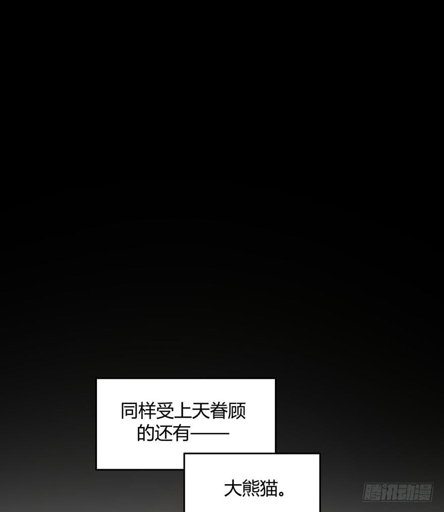 《YOYO的奇葩动物帝国》身被芙蓉 第14页