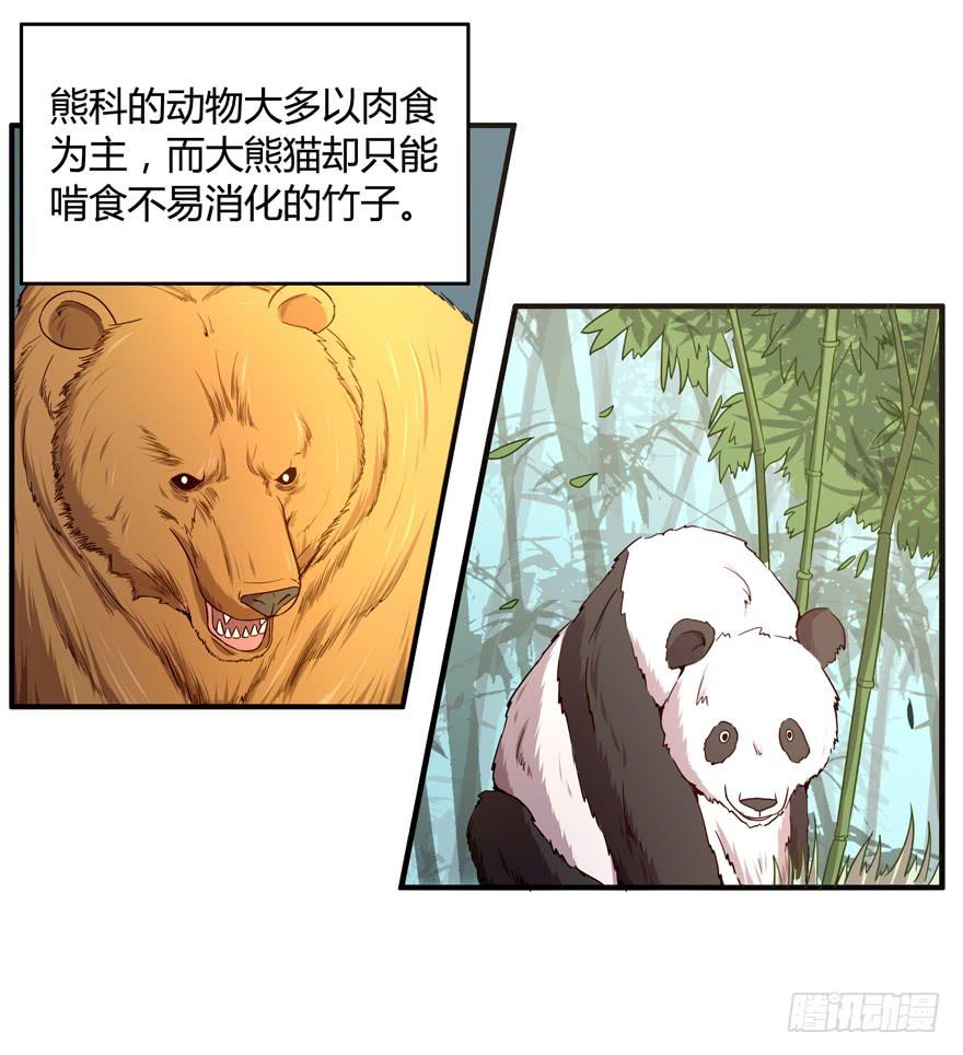 《YOYO的奇葩动物帝国》身被芙蓉 第18页