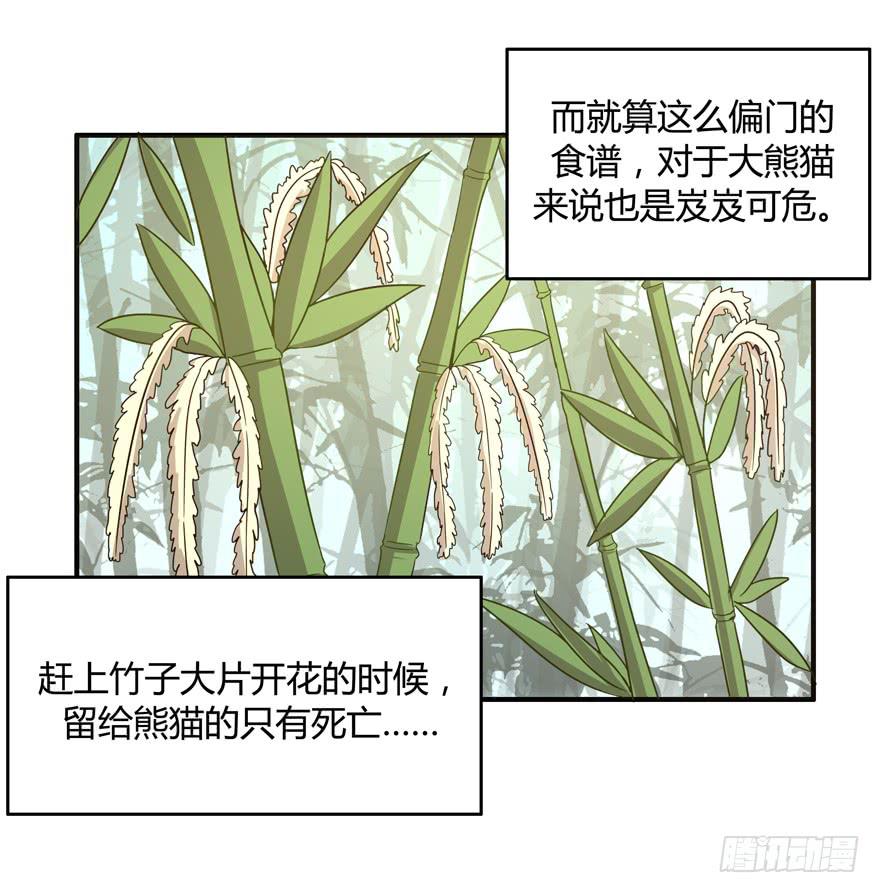 《YOYO的奇葩动物帝国》身被芙蓉 第19页