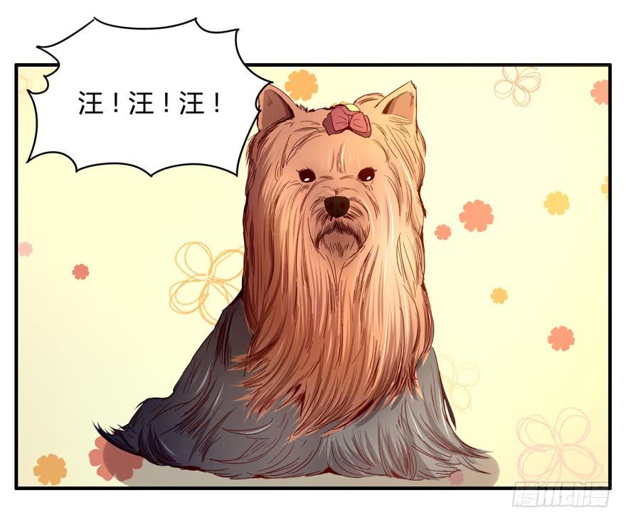 《YOYO的奇葩动物帝国》世界有我们许多不懂的地方 第31页