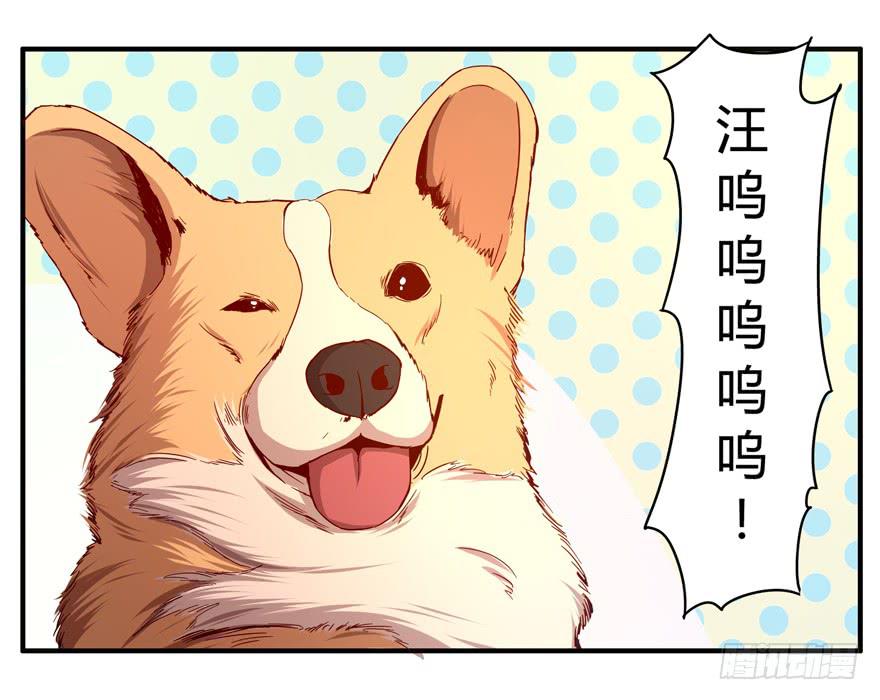 《YOYO的奇葩动物帝国》世界有我们许多不懂的地方 第32页