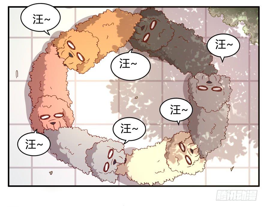 《YOYO的奇葩动物帝国》世界有我们许多不懂的地方 第38页