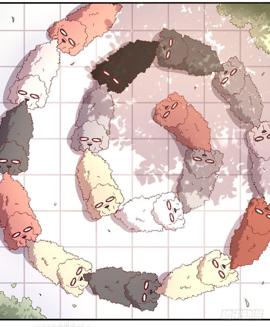 《YOYO的奇葩动物帝国》世界有我们许多不懂的地方 第39页
