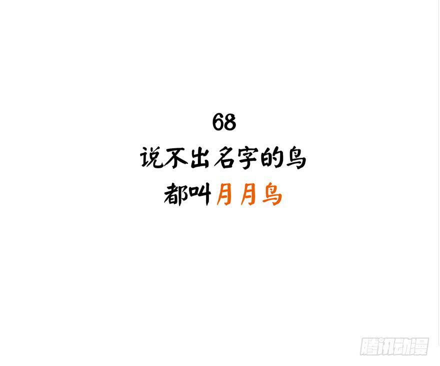 《YOYO的奇葩动物帝国》叫不出名字的鸟 都叫月月鸟 第2页