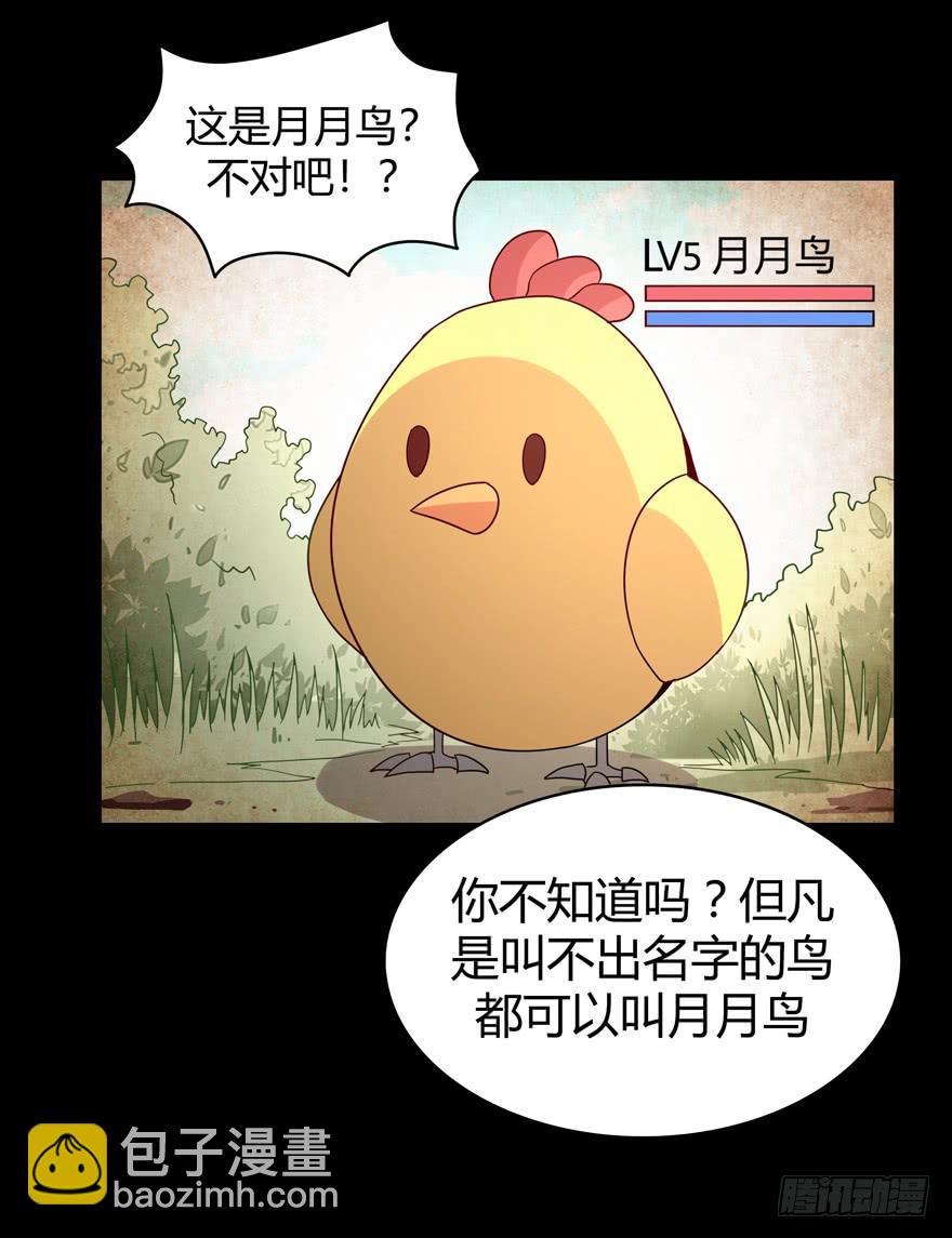 《YOYO的奇葩动物帝国》叫不出名字的鸟 都叫月月鸟 第47页