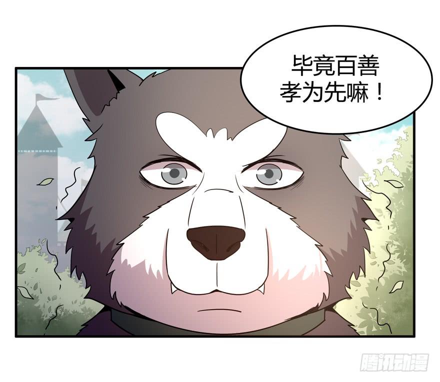 《YOYO的奇葩动物帝国》王二哈的身世之谜 第12页