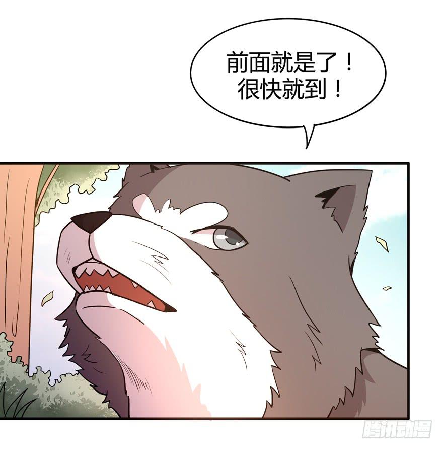 《YOYO的奇葩动物帝国》王二哈的身世之谜 第19页