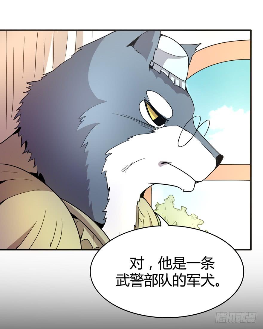 《YOYO的奇葩动物帝国》王二哈的身世之谜 第39页