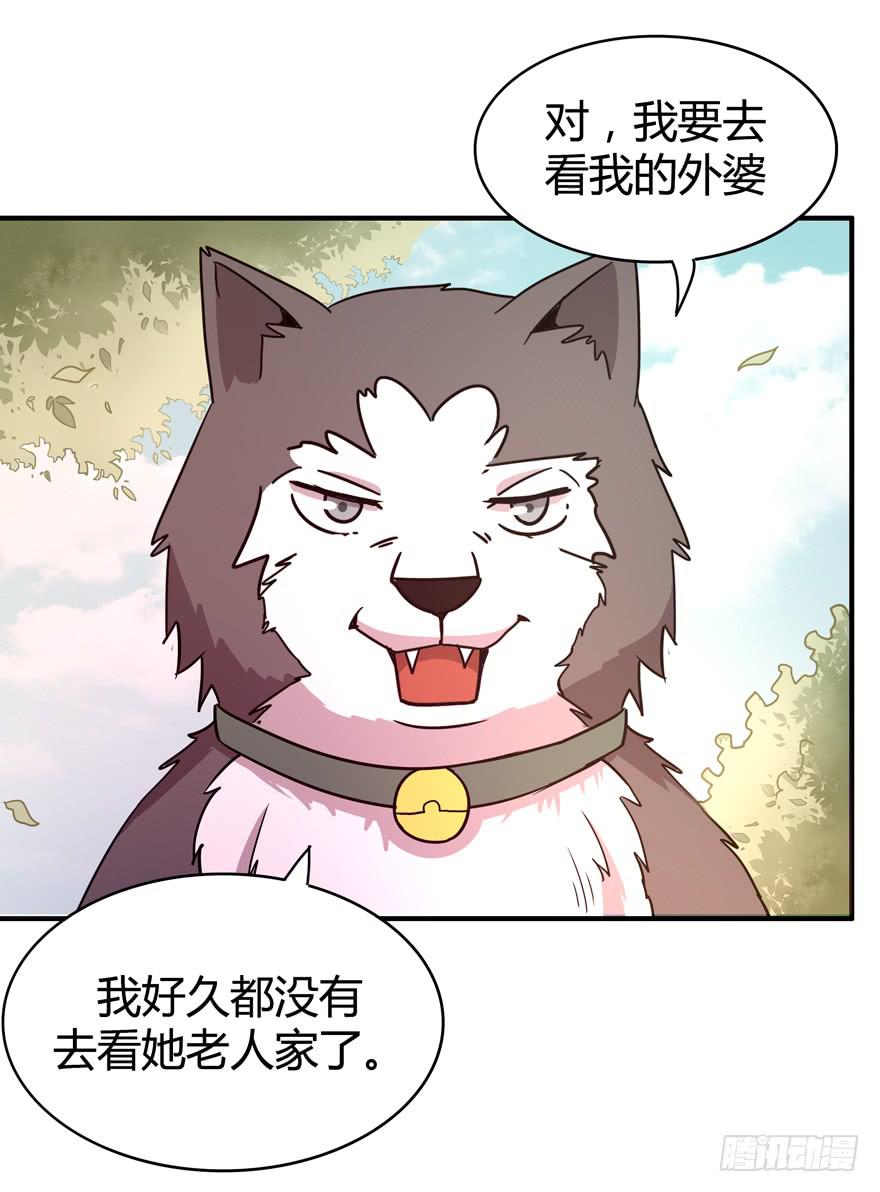 《YOYO的奇葩动物帝国》王二哈的身世之谜 第5页