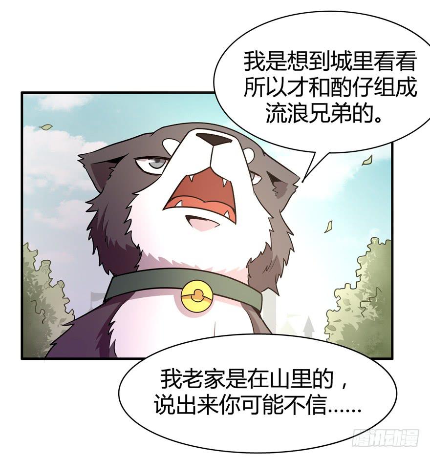 《YOYO的奇葩动物帝国》王二哈的身世之谜 第7页