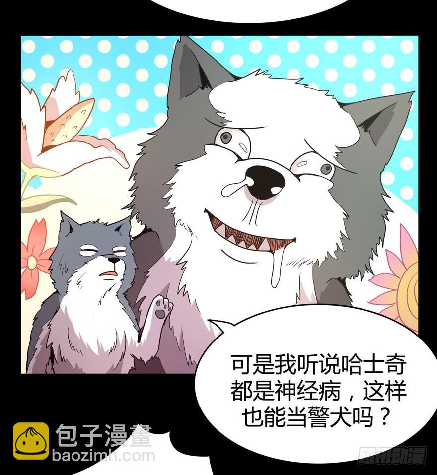 《YOYO的奇葩动物帝国》老嫖（上） 第13页