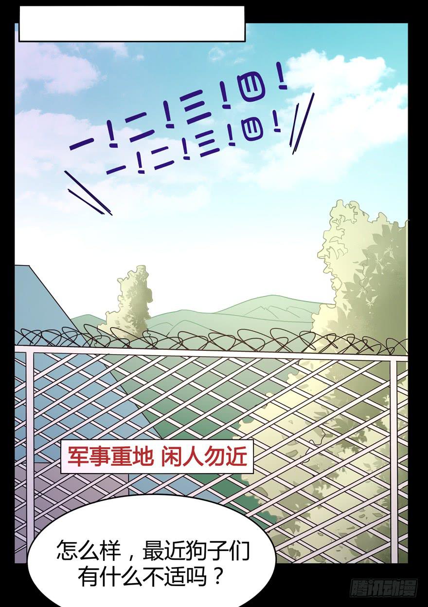 《YOYO的奇葩动物帝国》老嫖（上） 第19页