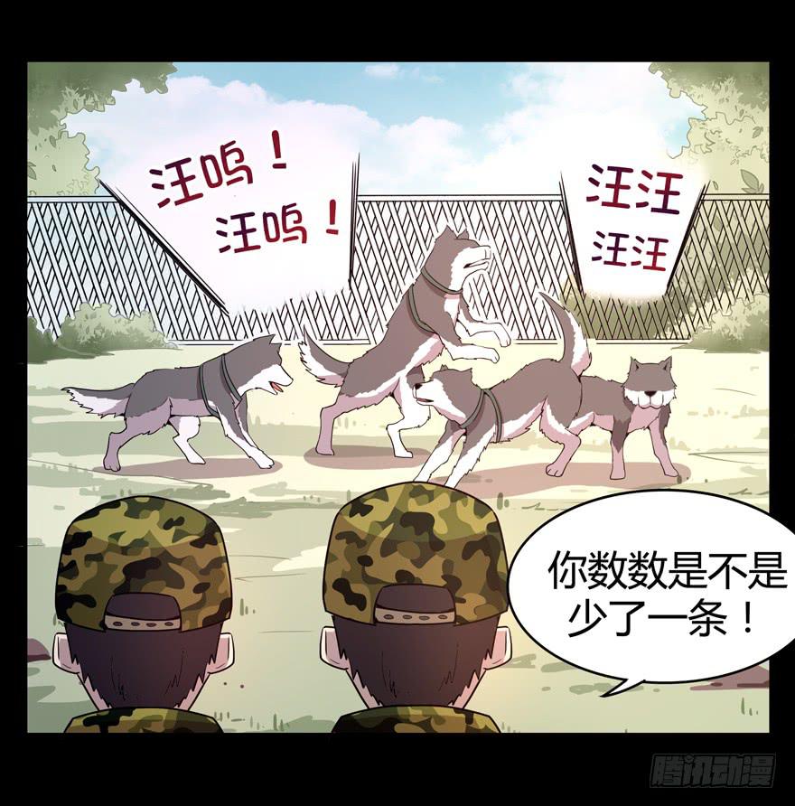 《YOYO的奇葩动物帝国》老嫖（上） 第22页