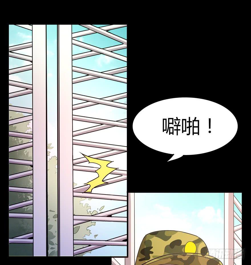 《YOYO的奇葩动物帝国》老嫖（上） 第37页