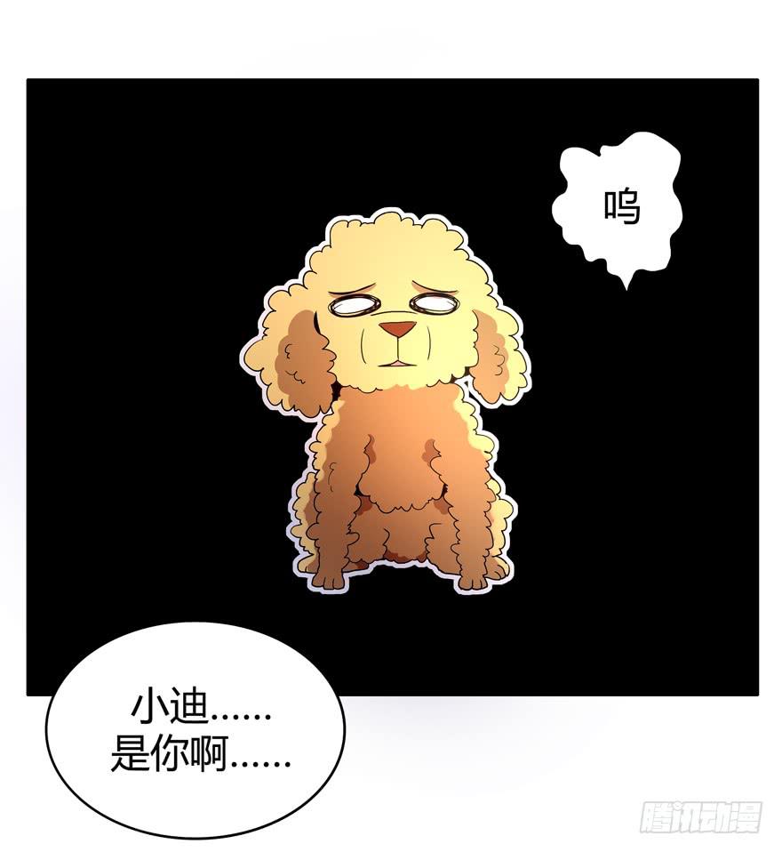 《YOYO的奇葩动物帝国》军犭的荣耀 第10页