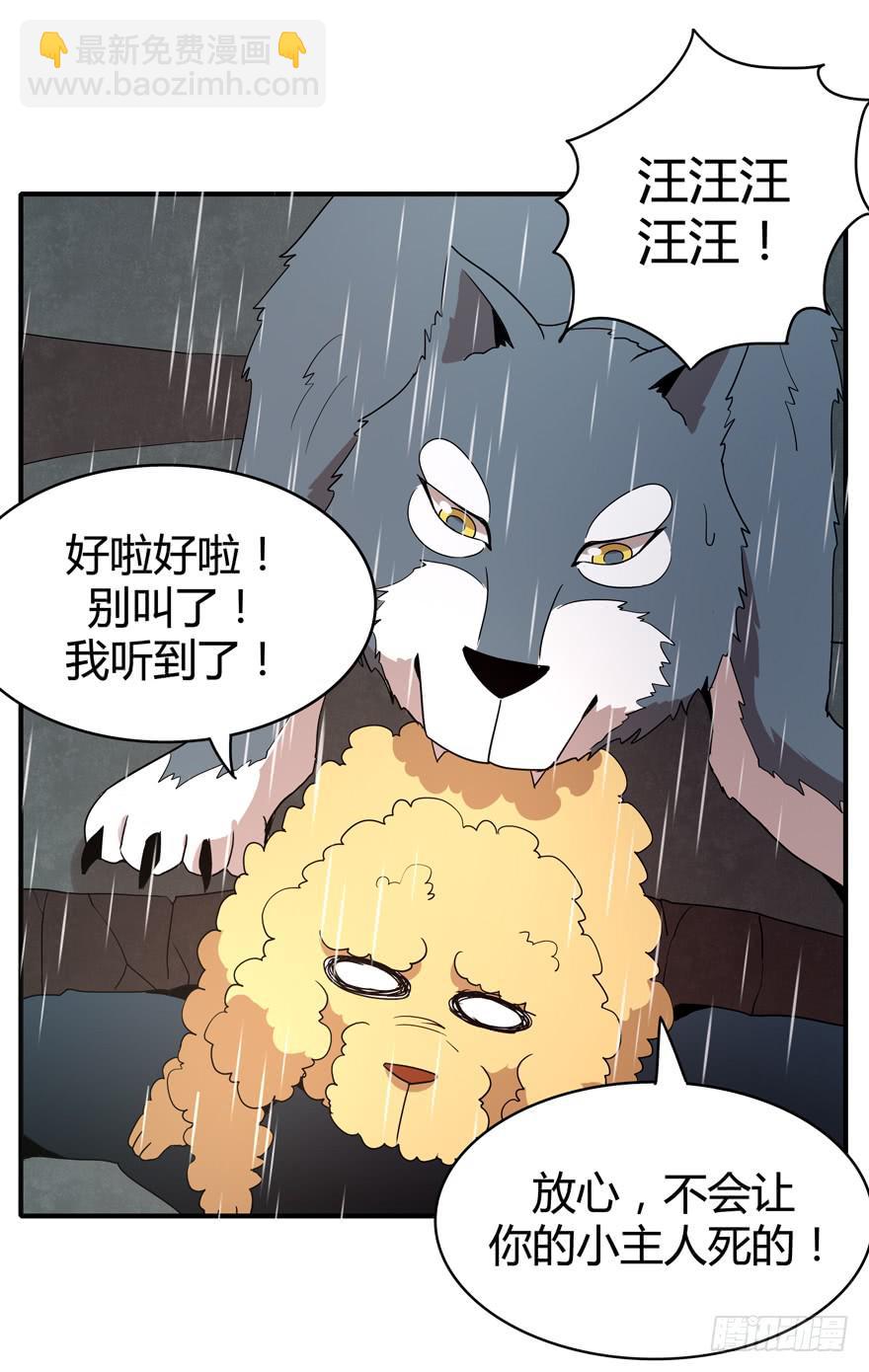 《YOYO的奇葩动物帝国》军犭的荣耀 第17页