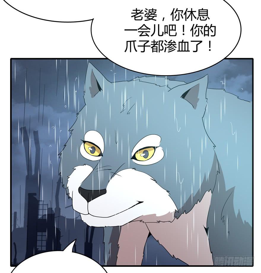 《YOYO的奇葩动物帝国》军犭的荣耀 第27页