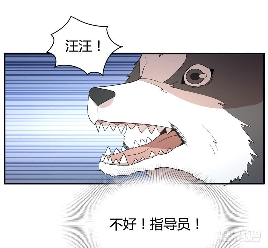 《YOYO的奇葩动物帝国》军犭的荣耀 第37页