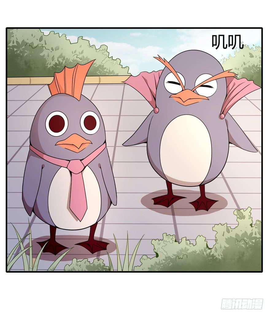 《YOYO的奇葩动物帝国》创造动物园 第29页