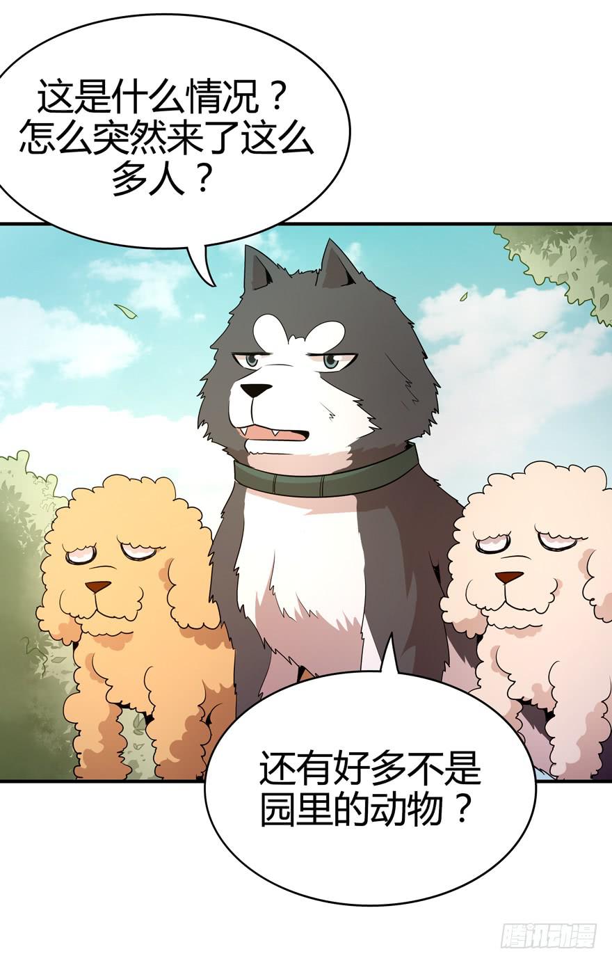 《YOYO的奇葩动物帝国》创造动物园 第32页