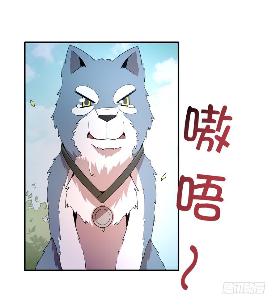 《YOYO的奇葩动物帝国》传承 第9页