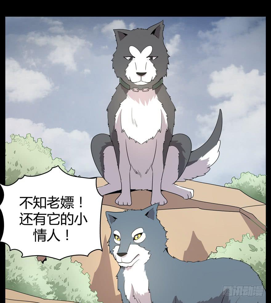 《YOYO的奇葩动物帝国》老嫖（下） 第49页