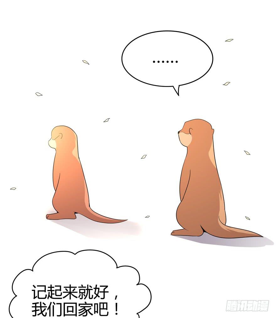 《YOYO的奇葩动物帝国》世界总是在你关心自己那点事的 第10页