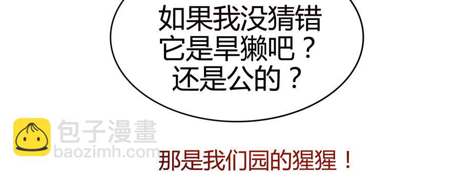 《YOYO的奇葩动物帝国》世界总是在你关心自己那点事的 第27页